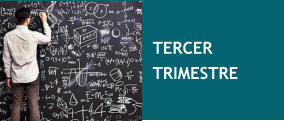 TERCER TRIMESTRE